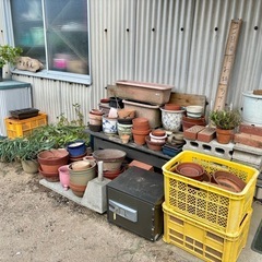 こんなん始めてみました🌴植木鉢・ブロック・レンガとか😄
