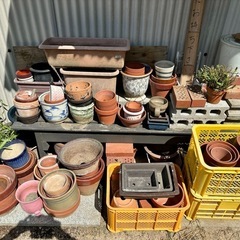 こんなん始めてみました🌴植木鉢・ブロック・レンガとか😄の画像