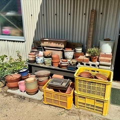 こんなん始めてみました🌴植木鉢・ブロック・レンガとか😄の画像