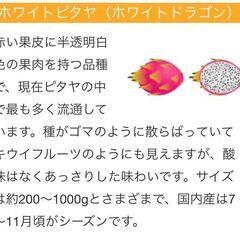 ドラゴンフルーツ４種類の種とグァバ2種類の種