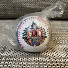 甲子園 100回大会 記念ボール