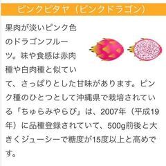 ドラゴンフルーツ４種類の種とグァバ2種類の種の画像