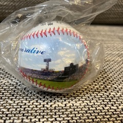 甲子園 100回大会 記念ボールの画像