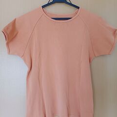 レディース　アンサンブル（半袖と長袖）の画像