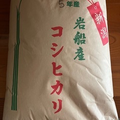 2袋のみ！令和5年度　岩船産コシヒカリ玄米30キロ　　　