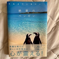 絶景のペンギン