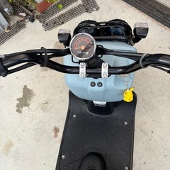 購入者が決まりました。ありがとうございました。の画像