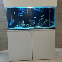 オールガラス90センチ水槽、水槽台、ライトセット