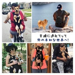 ペット抱っこバッグLサイズの画像