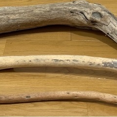 流木3本セット