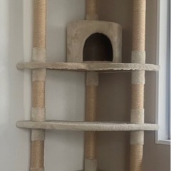 受付終了 キャットタワー
