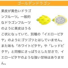 ドラゴンフルーツ、2種類の種とグァバ2種類の種
