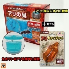 アリの巣観察キット　アリキャッチャー付
