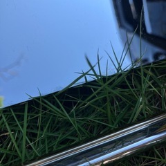 HONDA純正ナンバーフレームの画像