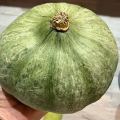 採れたてかぼちゃ1個