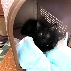 4ヶ月ボーイたち✧