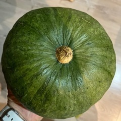 無農薬自家栽培　採れたてかぼちゃの画像