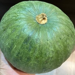 無農薬自家栽培　採れたてかぼちゃの画像