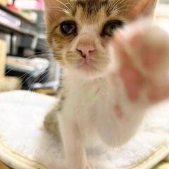 思いを繋いでくださる方に託したいです
