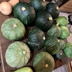 無農薬自家栽培　採れたてかぼちゃの画像