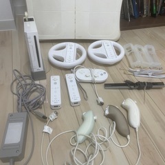 NINTENDO wii本体 RVL-001 ソフト14本付！