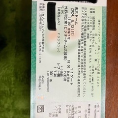 8月12日TOKYOドーム巨人vs阪神　ビジター外野応援席