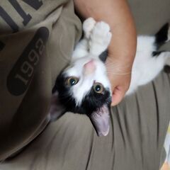 人懐っこい💕青くんトライアル中