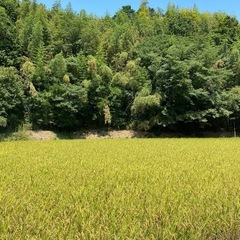 ③🌾令和6年産✨新米あきたこまち🌾玄米30kg🌾農家直送🌾
