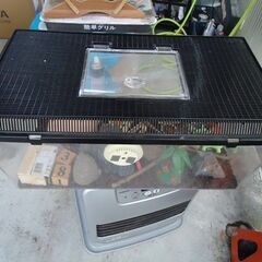 虫かご　飼育ケース　ゲッコーの飼育用でした　差し上げますの画像