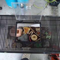 虫かご　飼育ケース　ゲッコーの飼育用でした　差し上げますの画像