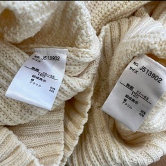 【未使用タグなし】ブリーズのセーターの画像