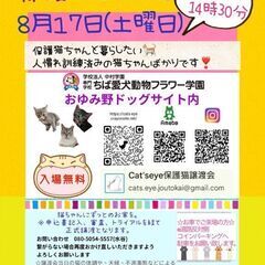 保護猫譲渡会Cat'seye