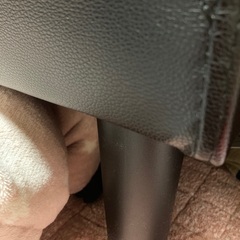 ソファーベッドの画像