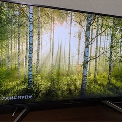 譲り先決定】43インチ テレビ