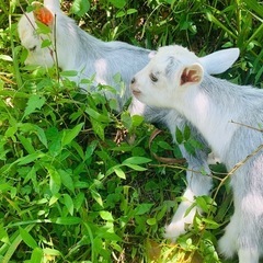 ご協力ありがとうございましたm(._.)m - 武雄市