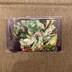 ポケモンフレンダ　STマスカーニャ