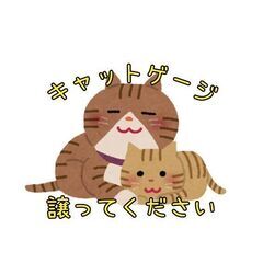 猫ゲージ譲ってください！！