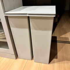 無印良品 収納ケース ゴミ箱 廃盤 どぎつ