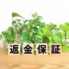 帰化申請に関する無料相談を行政書士が承ります！ − 東京都