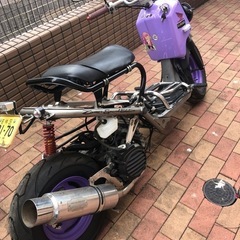 ズーマー　エディションの画像