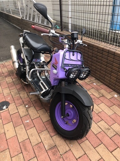 ズーマー　エディション