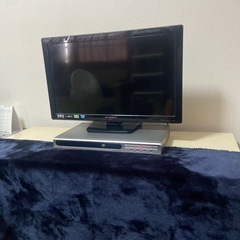 テレビ　