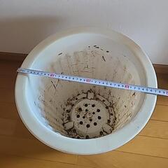 【お取引決定】プラ鉢の画像