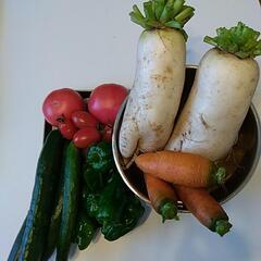 野菜詰合せ