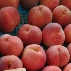 🍑もも　400円です
