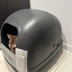 猫用トイレ