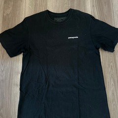 ★値下げ　パタゴニアPatagonia Tシャツ★