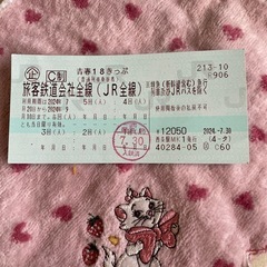 青春18きっぷ2024夏3回分