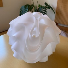 照明