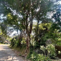 ★★　亀山湖まで徒歩で行けちゃう216坪の土地！　★★ − 千葉県